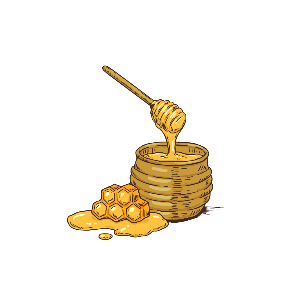 Honey (মধু)